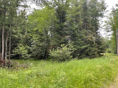 LOT 175 W Nestle Rd, Prudenville, MI, 48651