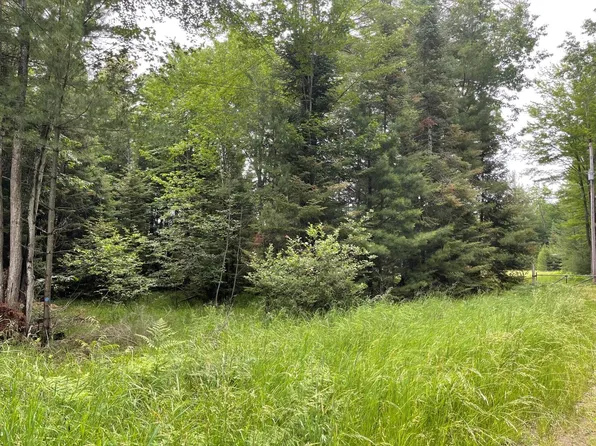 LOT 175 W Nestle Rd, Prudenville, MI 48651