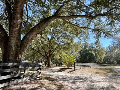 12550 160th Ter, Mc Alpin, FL, 32062