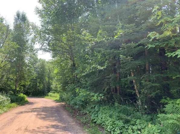 45X Caspers Hill Rd, Grand Marais, MN 55604