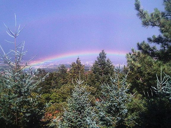 View from livinig room