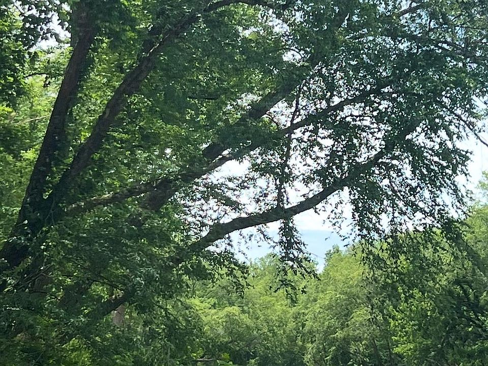 1st image of 3999 Old Greenlee Rd