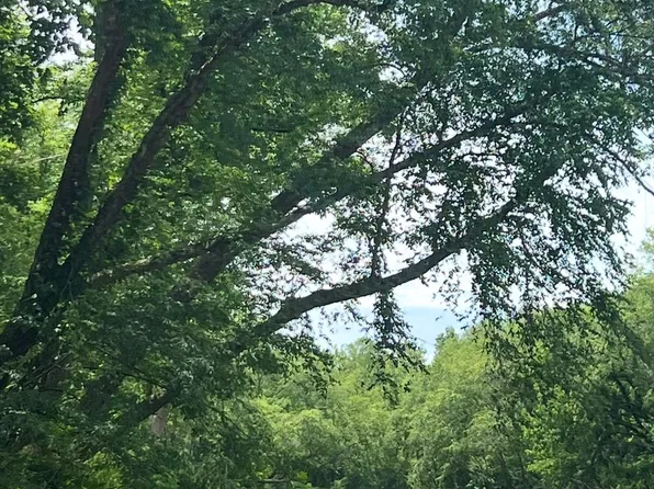 3999 Old Greenlee Rd, Marion, NC 28752