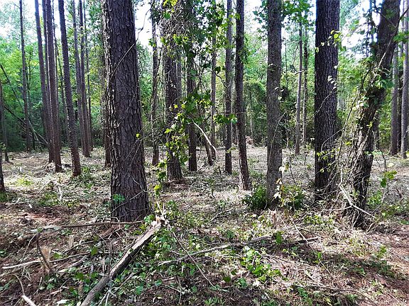 3rd image of Lot 3 Rivenbark Road LOT 3