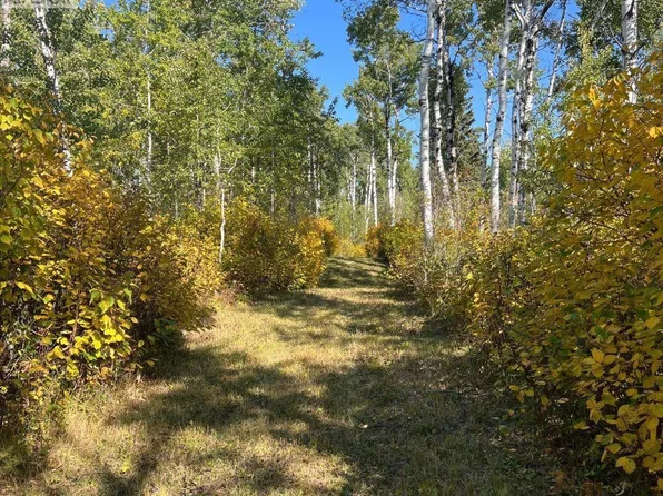 Wildlife Acres #499, Mervin, SK S0M 1J0