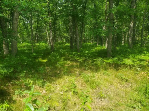 0 E Chestwood, Idlewild, MI 49642