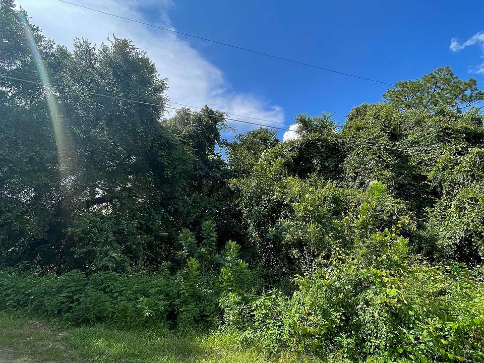 2nd image of Lost Pine Dr