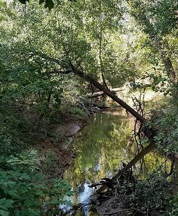 5th image of 2268 County Road 316