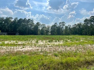 32141/32143 Butch Bennett Rd, Walker, LA 70785