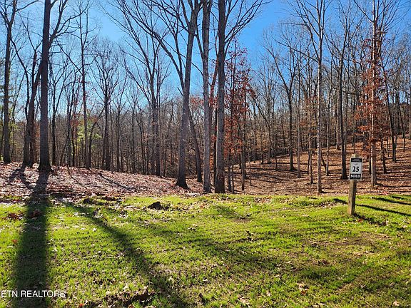 3rd image of 184 Hammock Ct