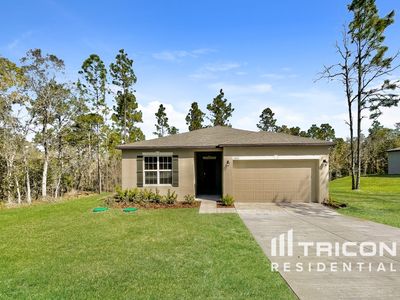 13221 Roxy Ave, Weeki Wachee, FL, 34614