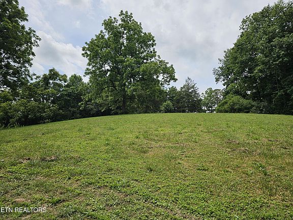 5th image of 264 Old Long Hollow Rd