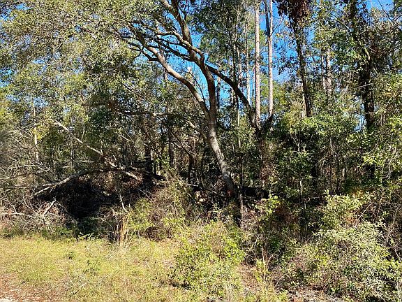 5th image of LOT 50 NW 29th Pl