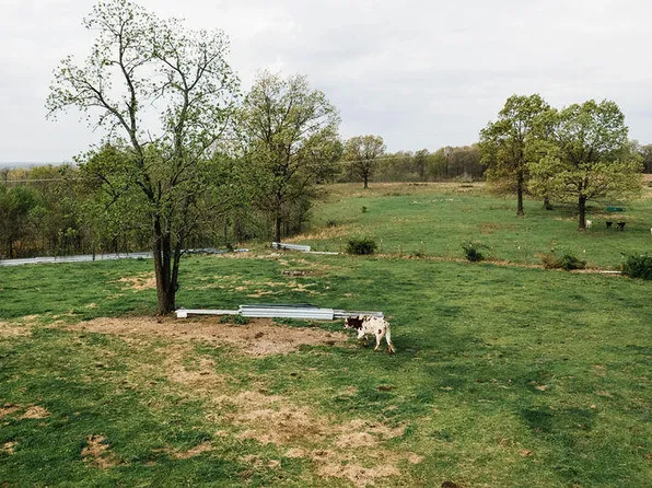 0 Buckeye Ln, Stella, MO 64867