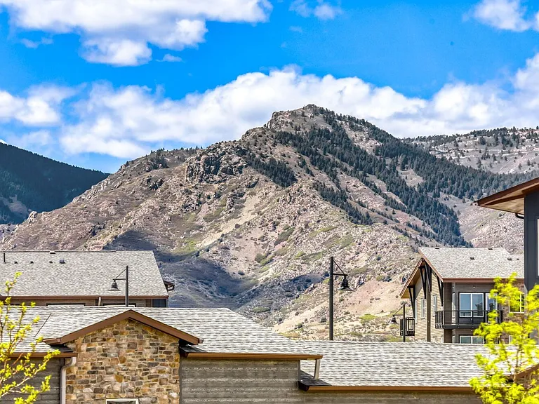 8397 Mount Ouray Rd — Photo 34