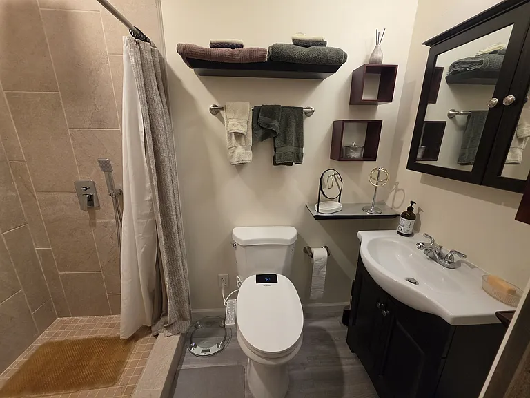 bathroom with walk-in shower and bidet toilet