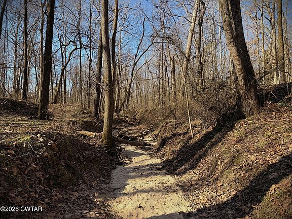 5th image of 0 Spring Creek Law Rd