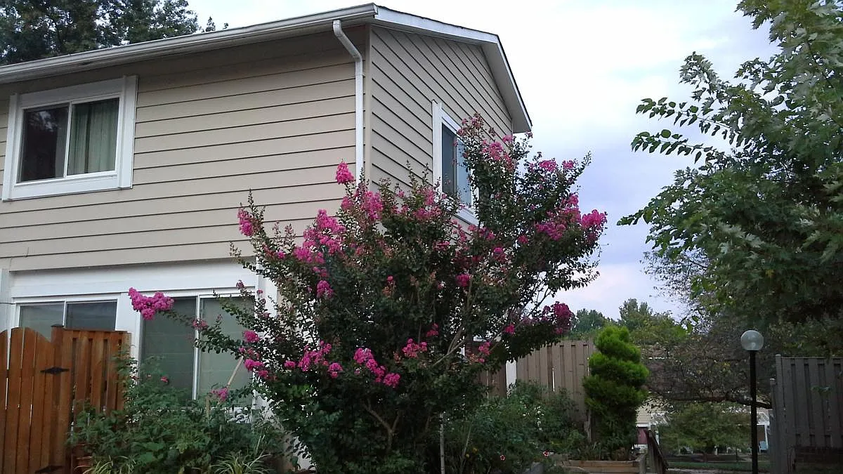 3 bed, 2.5 bath, 1350 sqft, $2,300 — Photo 1