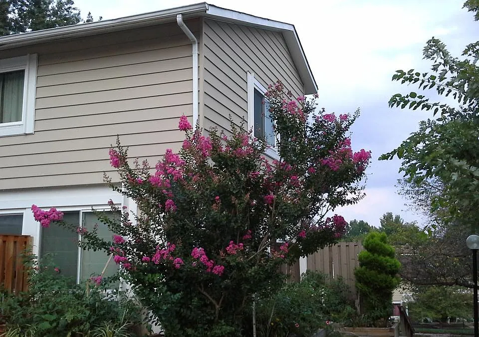 18633 Sage Way