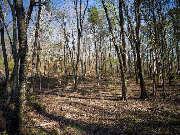 5th image of 3916 Cummings Rd