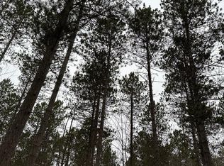 Swamp Creek Rd #4069-5, Jackson, MT 59736