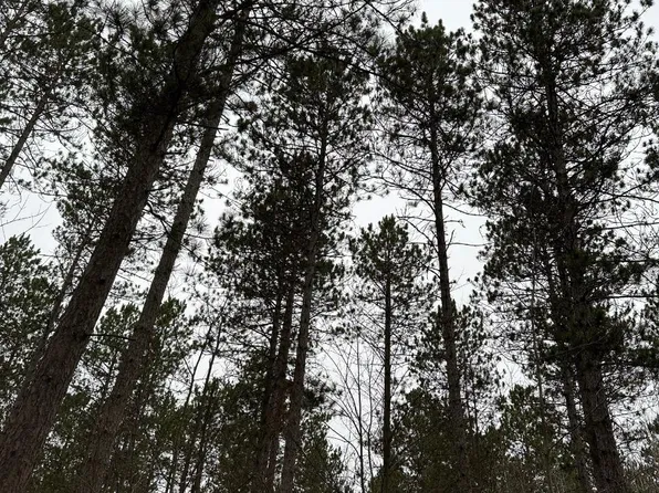 Swamp Creek Rd #4069-5, Jackson, MT 59736