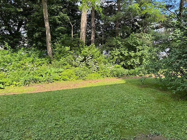 23 Brewster Rd — Photo 49