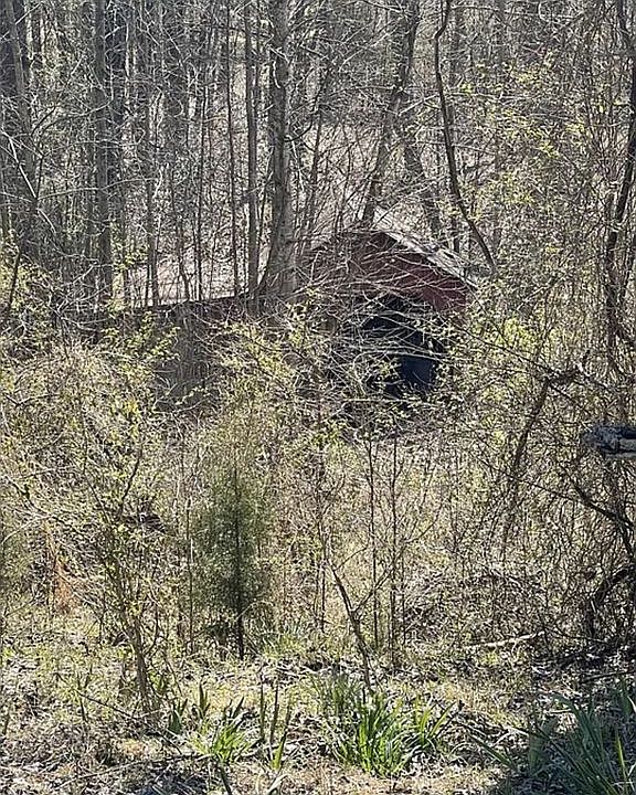 2nd image of 2135 Eg Nash Rd