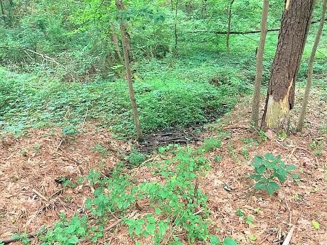 2nd image of W Of Foust Ln