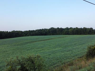 Reed Rd, Buchanan, MI, 49107