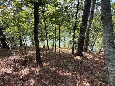 LOT 8 Lakeside Dr, Rogers, AR, 72756