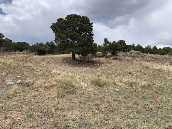 38 BERTHOUD PASS RD, South Fork, CO 81154