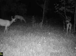 2733 N Somerset Rd, Pittsford, MI 49271