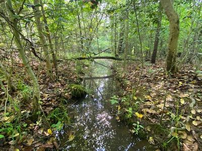 Ivy Hill Rd, Clarksville, VA, 23927