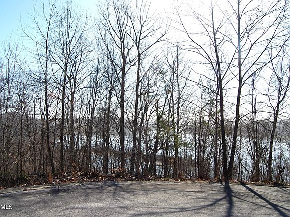 4th image of 0 Eerie Point Lot 43