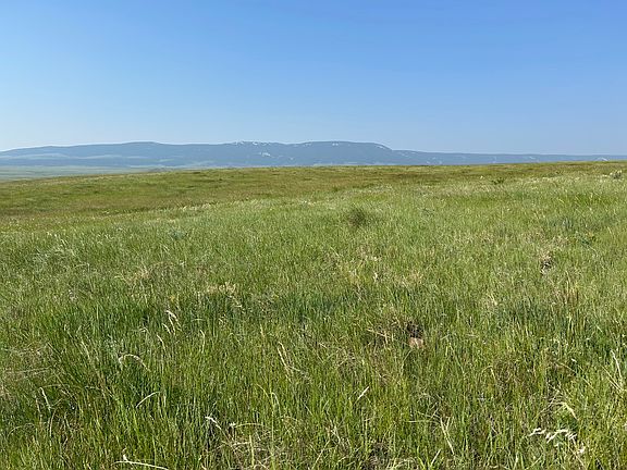 3rd image of U Bet Rd