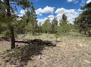 427 Brahma Cir #923, Hartsel, CO 80449