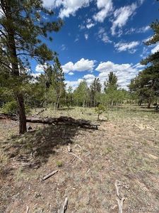 427 Brahma Circle  Lot 923, Hartsel, CO, 80449