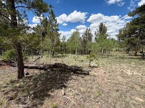 427 Brahma Circle LOT 923, Hartsel, CO 80449