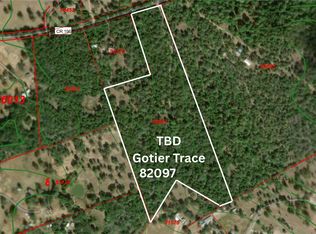 Gotier Trace Rd, Paige, TX 78659