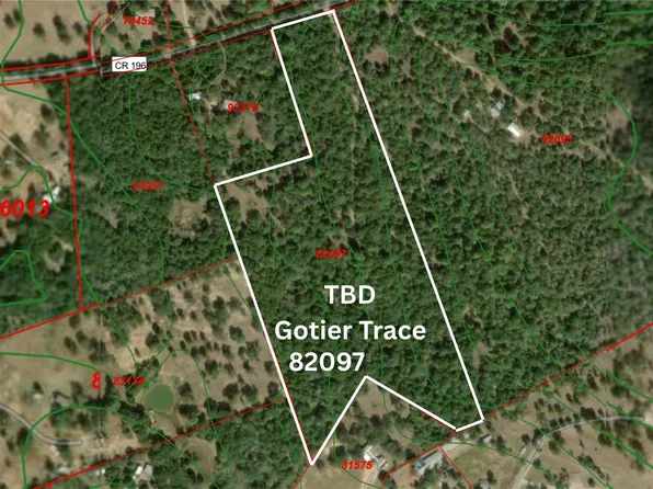 Gotier Trace Rd, Paige, TX 78659