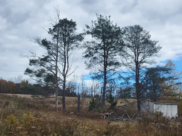 270 Lewis St, Endicott, NY 13760