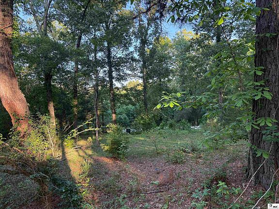 2nd image of 138 Buck Dr