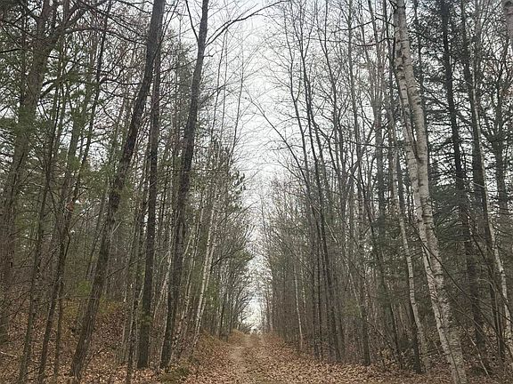 3rd image of Roush Rd