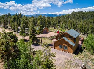 1002 County Road 99, Nederland, CO 80466