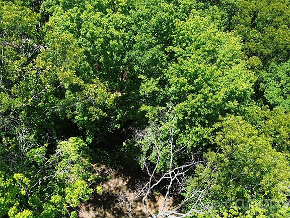 2nd image of 99999 Pink Fox Cove Rd