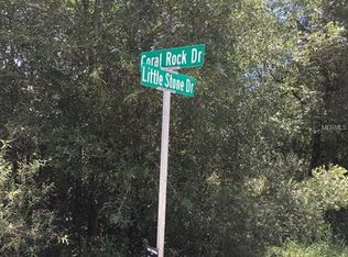 Southeast Ave, Webster, FL 33597