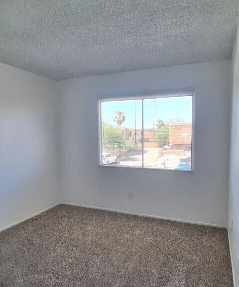 4515 E Wood St — Photo 16