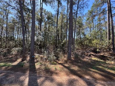 Hawthorne Ln, Plantersville, TX, 77363