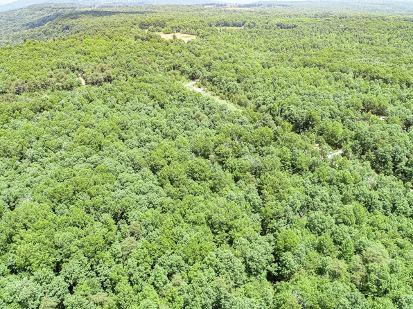 0 Turkey Track Rd Lot 141, Altamont, TN 37301